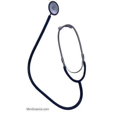 stethoscope stethoscope