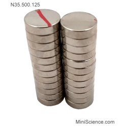 Neodymium Disk Magnet, N35.500.125