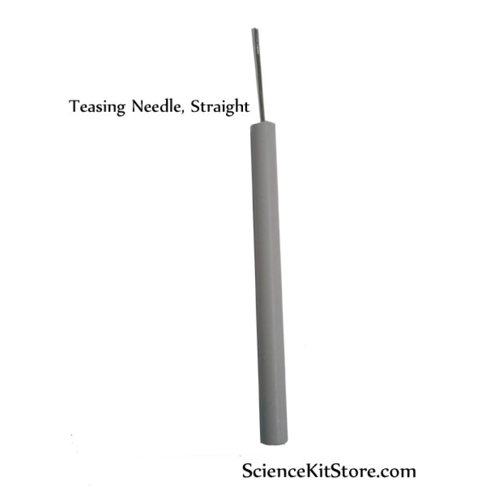 Teasing Needle, Straight, Plastic Handle