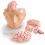 Human-Head-and-Brain-Model-with-Arteries-Life-Size-9-Parts